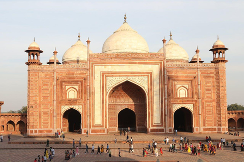 Taj Mahal: Rondleiding met voorrangstoegangService in Agra: Alleen professionele gids