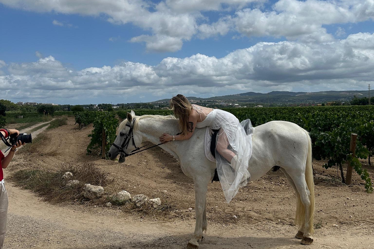 Alicante: Private Horseback Ride & Picnic with Transfer