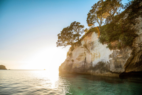 COROMANDEL CATHEDRAL COVE &amp; DRIVING CREEK - PRIVATE DAY TOUR