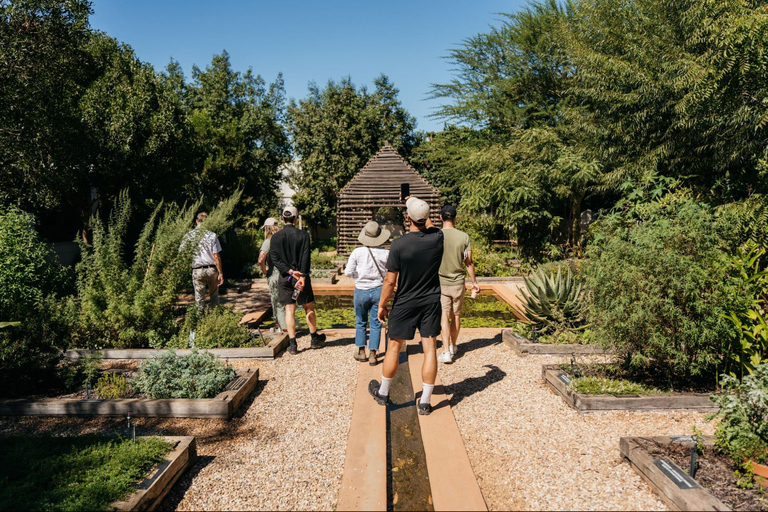 Cape Town: Cape Winelands and Vineyard Tour with Guide