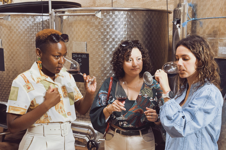 بوردو: جولة خاصة لتذوق النبيذ الطبيعي لمدة نصف يوم