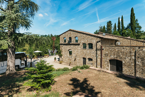 Florence : visite des vignobles du Chianti avec dégustationVisite en groupe en anglais