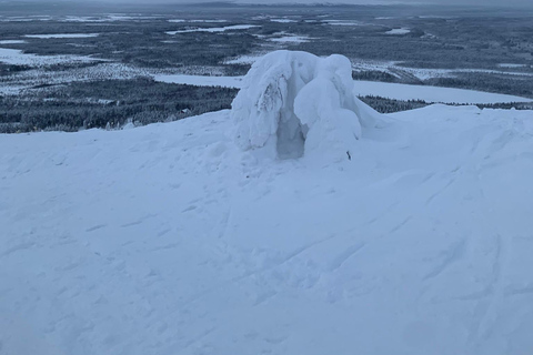 Levi Experience: Det lokala livet på en dag