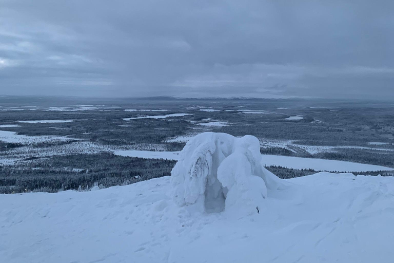 Levi Experience: Det lokala livet på en dag