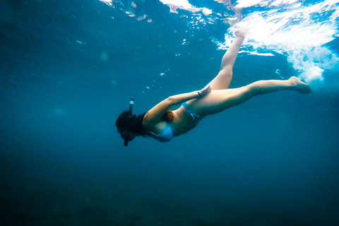 Ko Tao: Late Riser Snorkeling Tour with Lunch and Photos