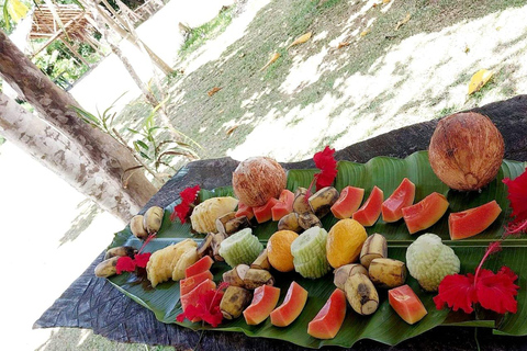 Port Vila: Private Customizable Tour with Driver