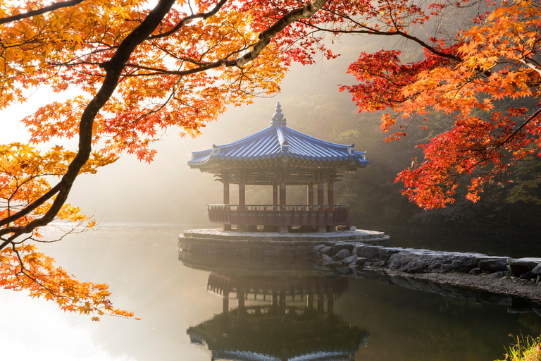Busan: Parque Nacional Naejangsan, tour de un día para ver el follaje otoñalVisita compartida a Naejangsan, encuentro en la estación de Busan