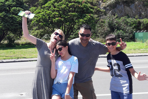 Wellington: Tour guiado na cidade com passeio de teleférico