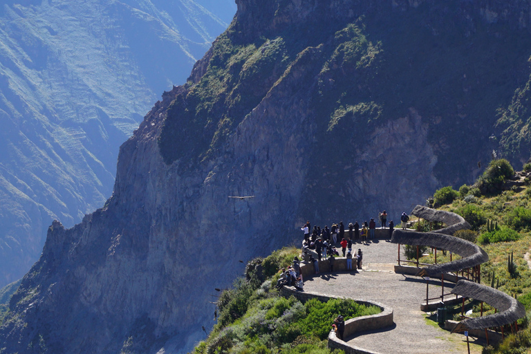 Excursión de un día al Cañón del Colca desde Arequipa con final en Puno