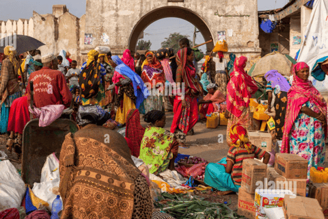 3-tägige Awash National Park &amp; Harar Tour