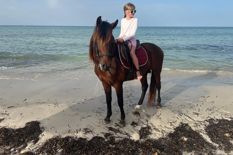 Djerba: Beginner Horse Riding Lesson for Adults and Children.