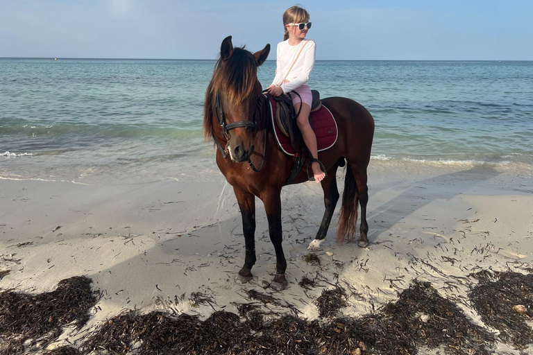 Djerba: Beginner Horse Riding Lesson for Adults and Children.