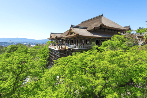 Cute Deer Tour: A One-Day Highlights Tour of Kyoto and Nara Departing from Kyoto