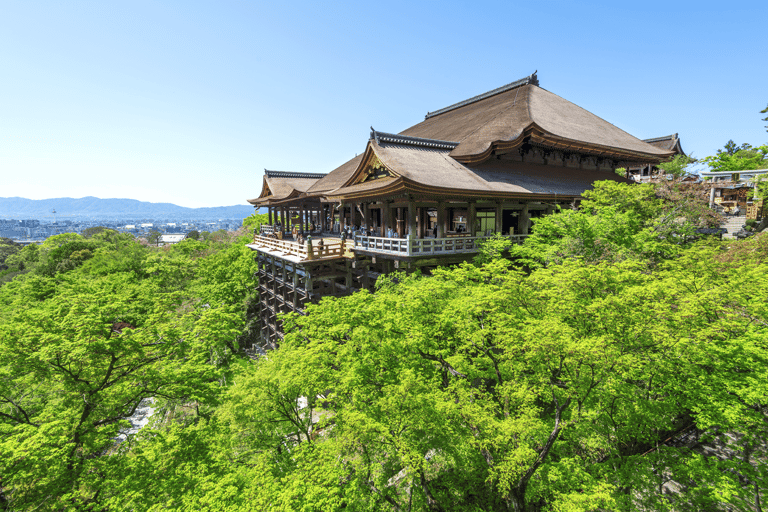 Cute Deer Tour: A One-Day Highlights Tour of Kyoto and Nara Departing from Kyoto