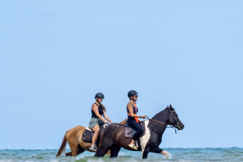 Aventure équestre sur la plage de PhuketEquitation 8:30 AM