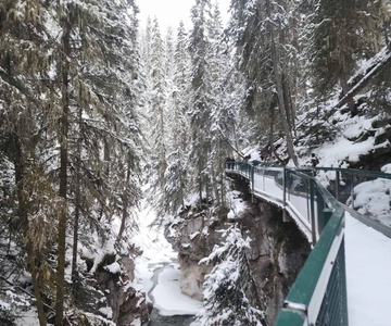 From Canmore/Banff: Johnston Canyon Evening Tour