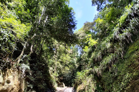 Watervallen en grottenpad in het Tijuca bos