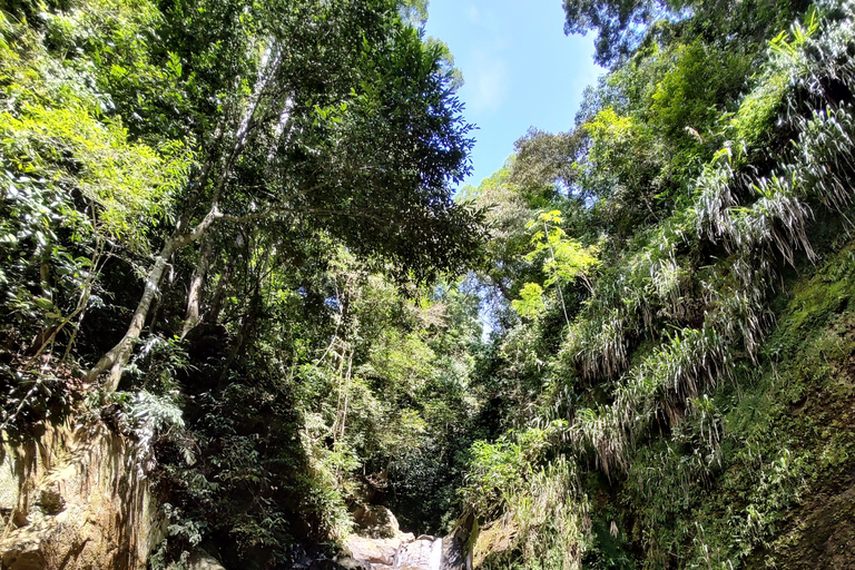 Watervallen en grottenpad in het Tijuca bos