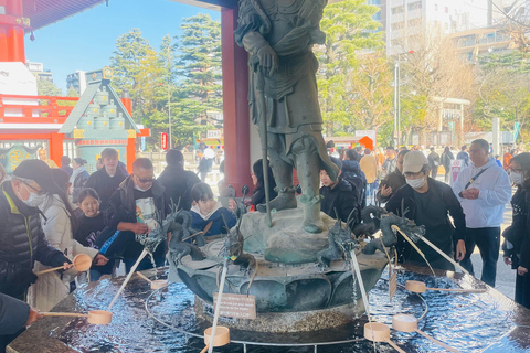 Tokyo Luxury Private City Tour Customizable with Guide