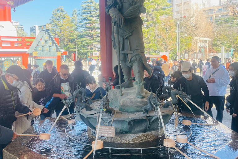 Tokyo Luxury Private City Tour Customizable with Guide