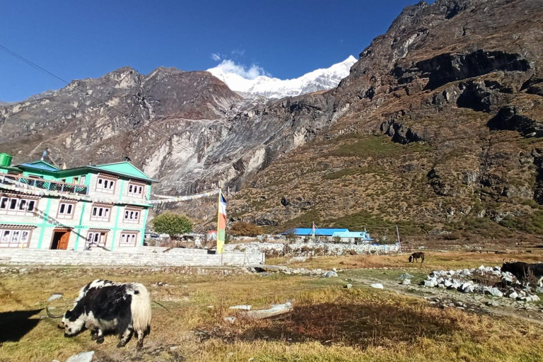 Vanuit Kathmandu: 5 Daagse Langtang Vallei Natuurverkenningstocht