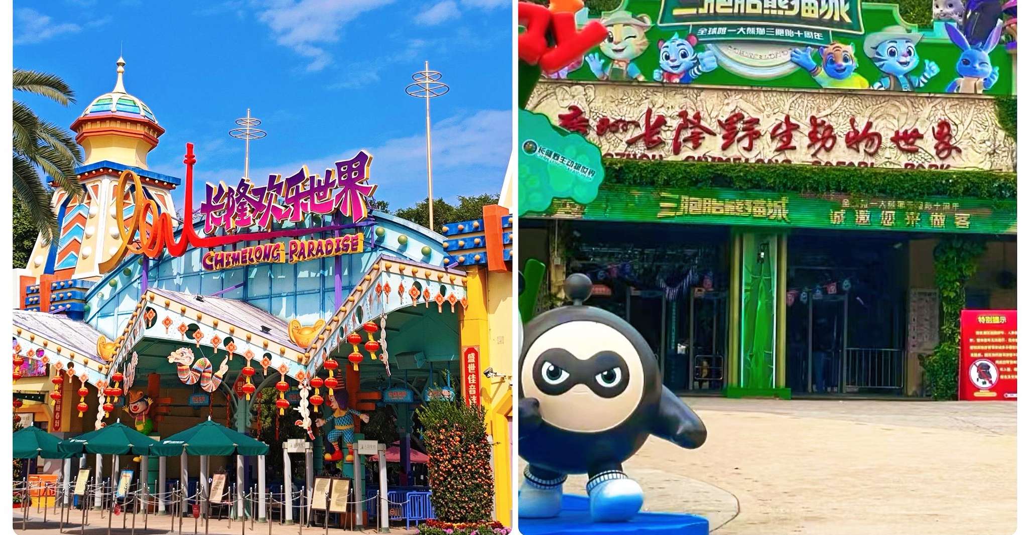 Guangzhou Chimelong: Safari Park/Paradise（Optional Day Tour）