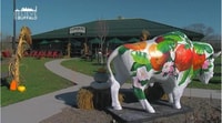 Buffalo, Pase de Cata de Cerveza - Hizvo