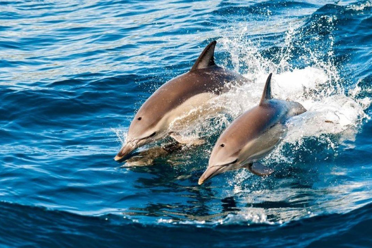 Tandem Jet-ski Adventure, Zanzibar Lunch Break Experience