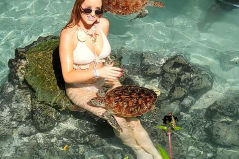 Jozani Forest & Turquoise Waters Turtle Swim at Salaam Cave TOUR WITHOUT HOTEL PICKUP AND DROP OFF