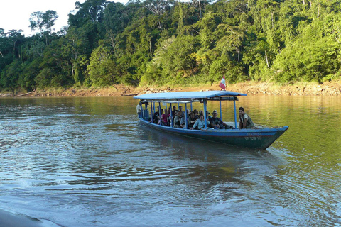 TAMBOPATA AMAZONAS VILDMARK (3 DAGAR - 2 NÄTTER)