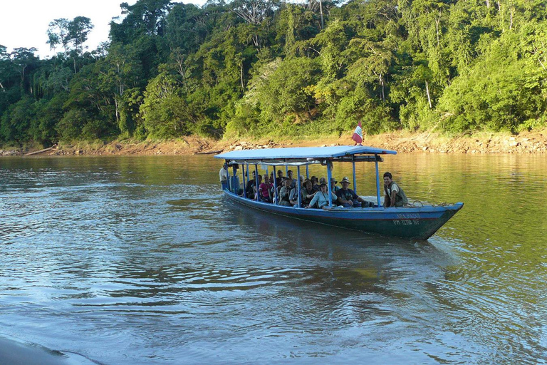 TAMBOPATA AMAZONAS VILDMARK (3 DAGAR - 2 NÄTTER)