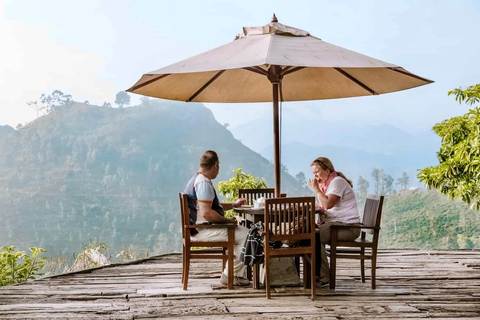 From Kandy: Ella private Day Tour With Train Ride