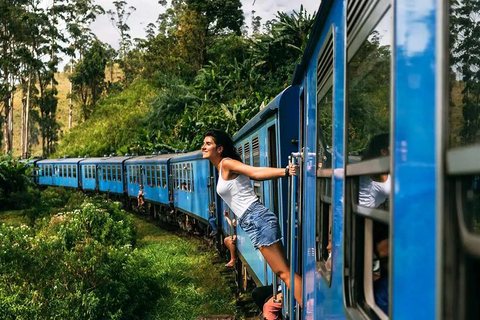 Ambewela to Ella: Scenic Train Ride for Photography Lovers Ambewela to Ella: Scenic Train Ride in 3rd Class cabin