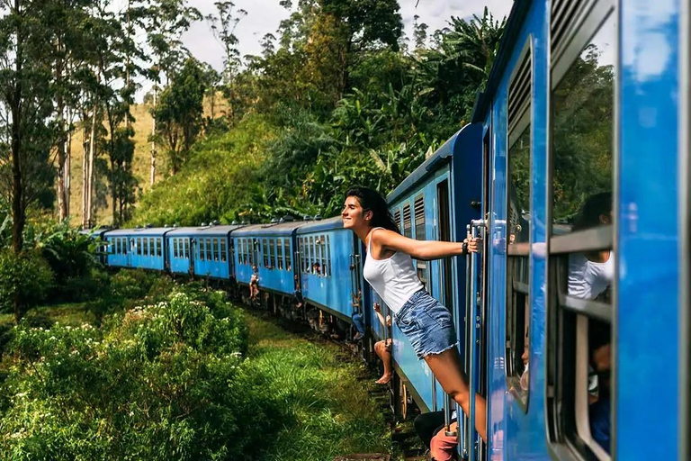 Ambewela to Ella: Scenic Train Ride for Photography Lovers Ambewela to Ella: Scenic Train Ride in 3rd Class cabin