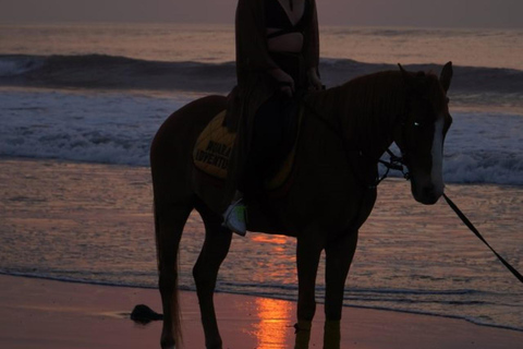 Bali: Experiência de cavalgada na praia de BaliPasseio a cavalo na praia 30 minutos Sem transporte