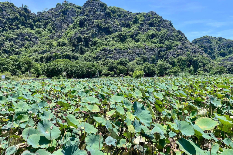 Hanoi: Yen Phu Pagoda, Wetland or Trang An, Mua Cave, Hoa Lu Private Tour : Yen Phu Pagoda and Van Long Wetland Day Tour