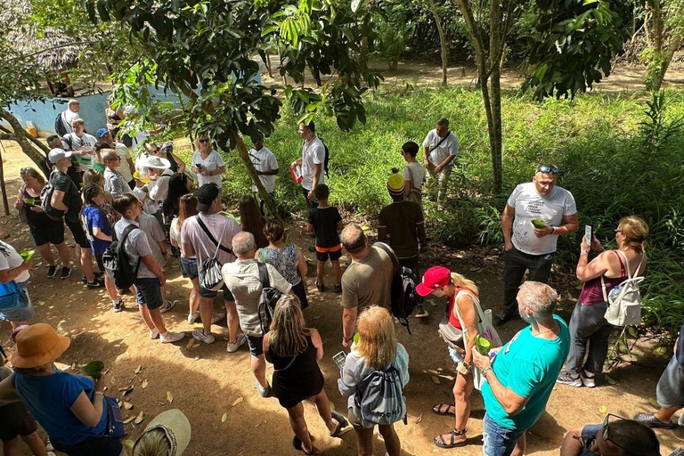 Zanzibar: Wycieczka po wiejskiej farmie z degustacją przyprawZanzibar: Wycieczka po farmie Village Green z degustacją przypraw