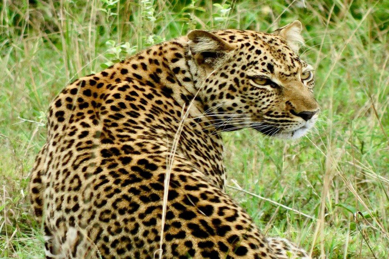 Kigali : Excursion d&#039;une journée dans le parc national de l&#039;Akagera