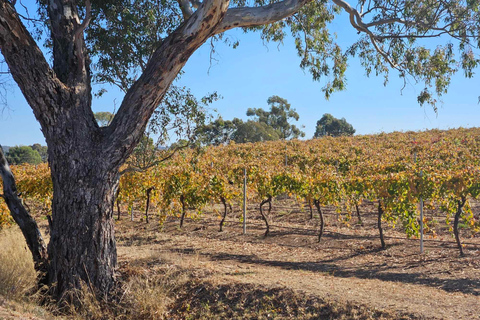 Tournée des vins de la vallée de Barossa