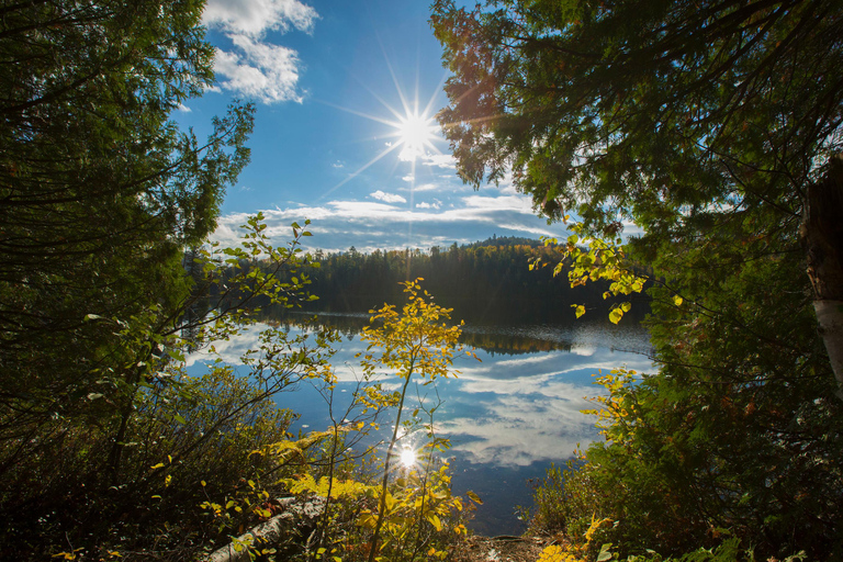 Montreal: Forêt Ouareau Park Hiking Day Trip