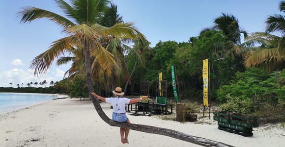 Saona Island By Catamaran