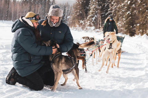 Fairbanks: Private Mush on the Historic Yukon Quest Trail