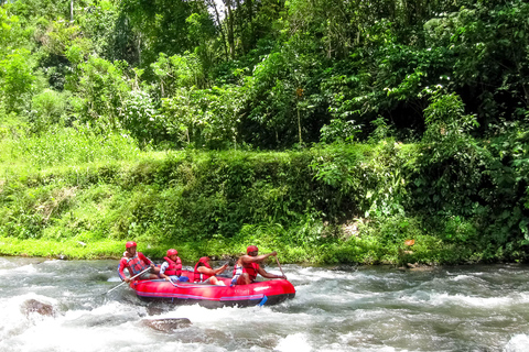 Bali: Telaga Waja White Water River Guided Rafting & Lunch White Water Rafting Trip with Meeting Point