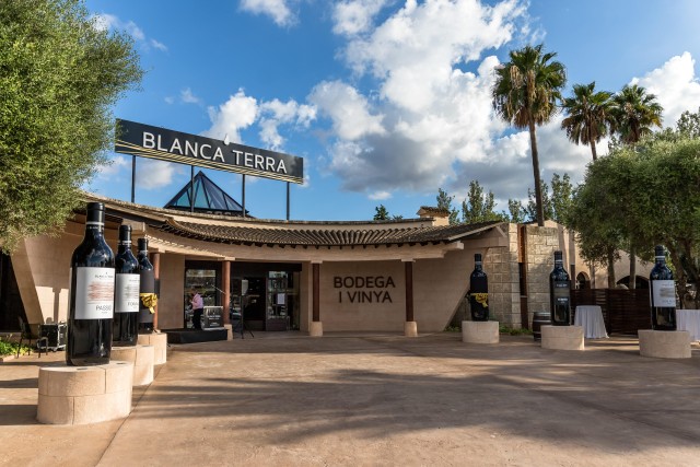 Visit Mallorca Blanca Terra Bodega Ticket - optional Wine Tasting in Manacor
