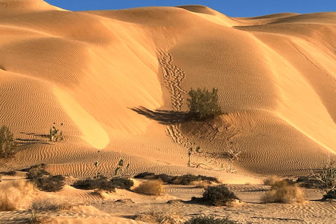 Z Salalah: Pustynne safari w pustej dzielnicy – Rub Al Khali