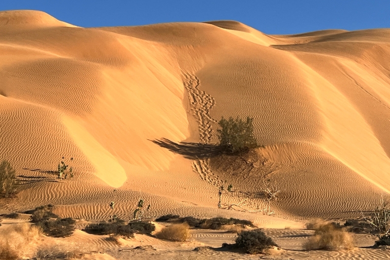 Desde Salalah: Safari por el desierto en el Barrio Vacío - Rub Al Khali