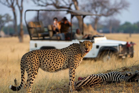 Safari de 4 jours dans le parc national Kruger et le canyon de la rivière Blyde