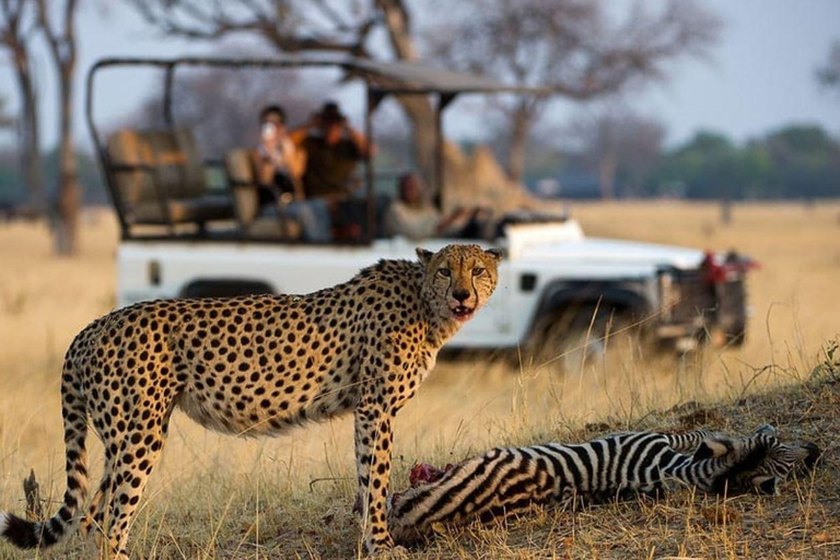 Safari de 4 jours dans le parc national Kruger et le canyon de la rivière Blyde