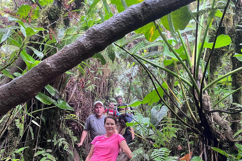 Caminhada no Pico Nevis