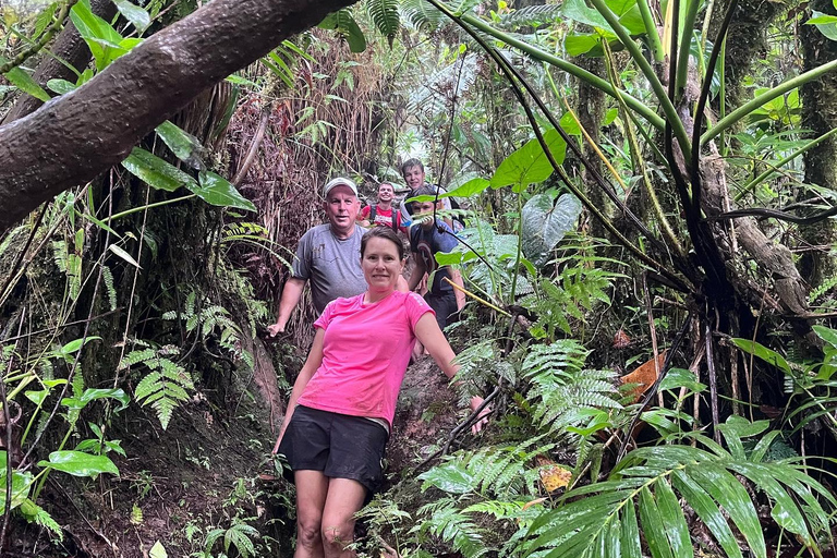 Caminhada no Pico Nevis